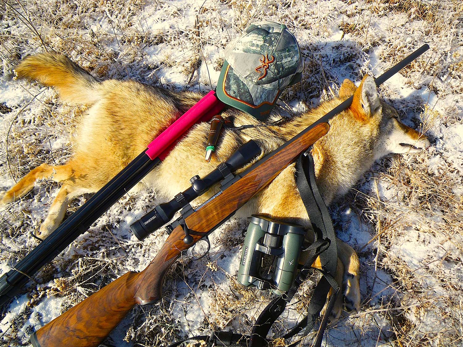 custom .243 Win for hunting coyotes