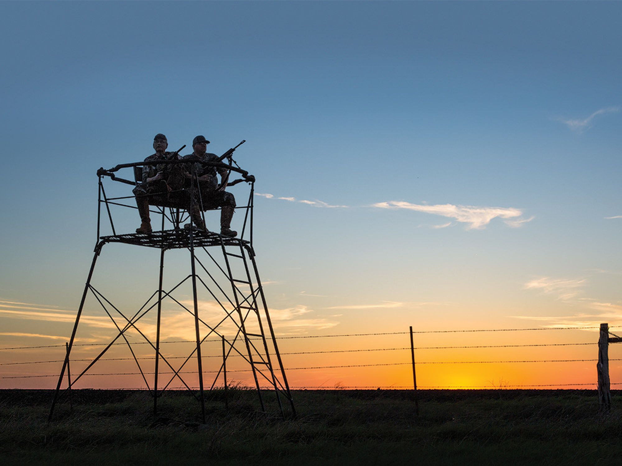 Tower-stand hunters await the arrival of feeding pigs near Midlothian, Texas.