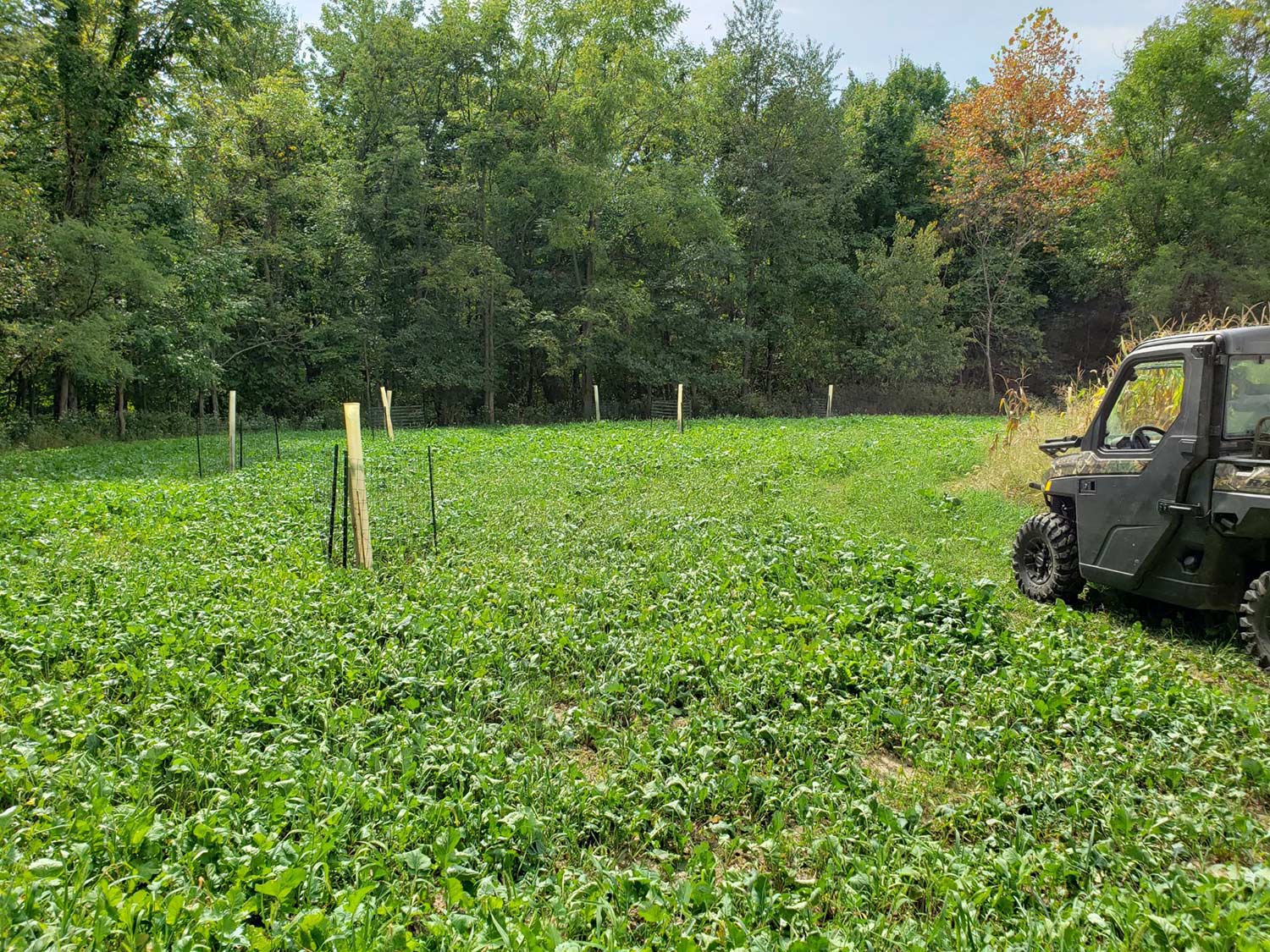 a food plot with a polaris ranger parked in it