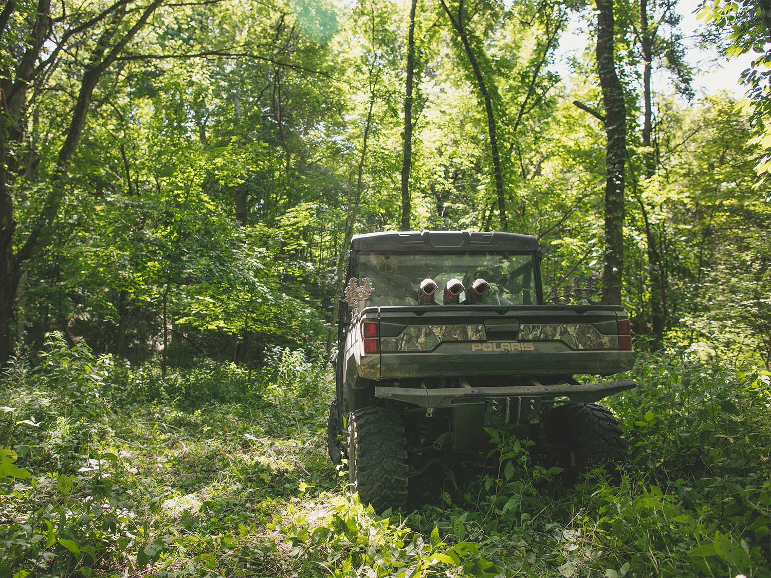 a polaris ranger in a wooded area