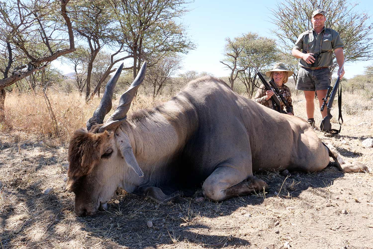 two hunters kneeling behind a giant pronghorn eland