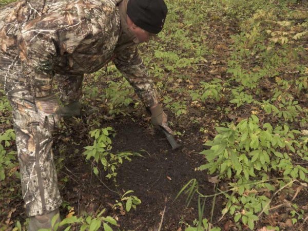 7 Best Ways To Use Scents During The Rut