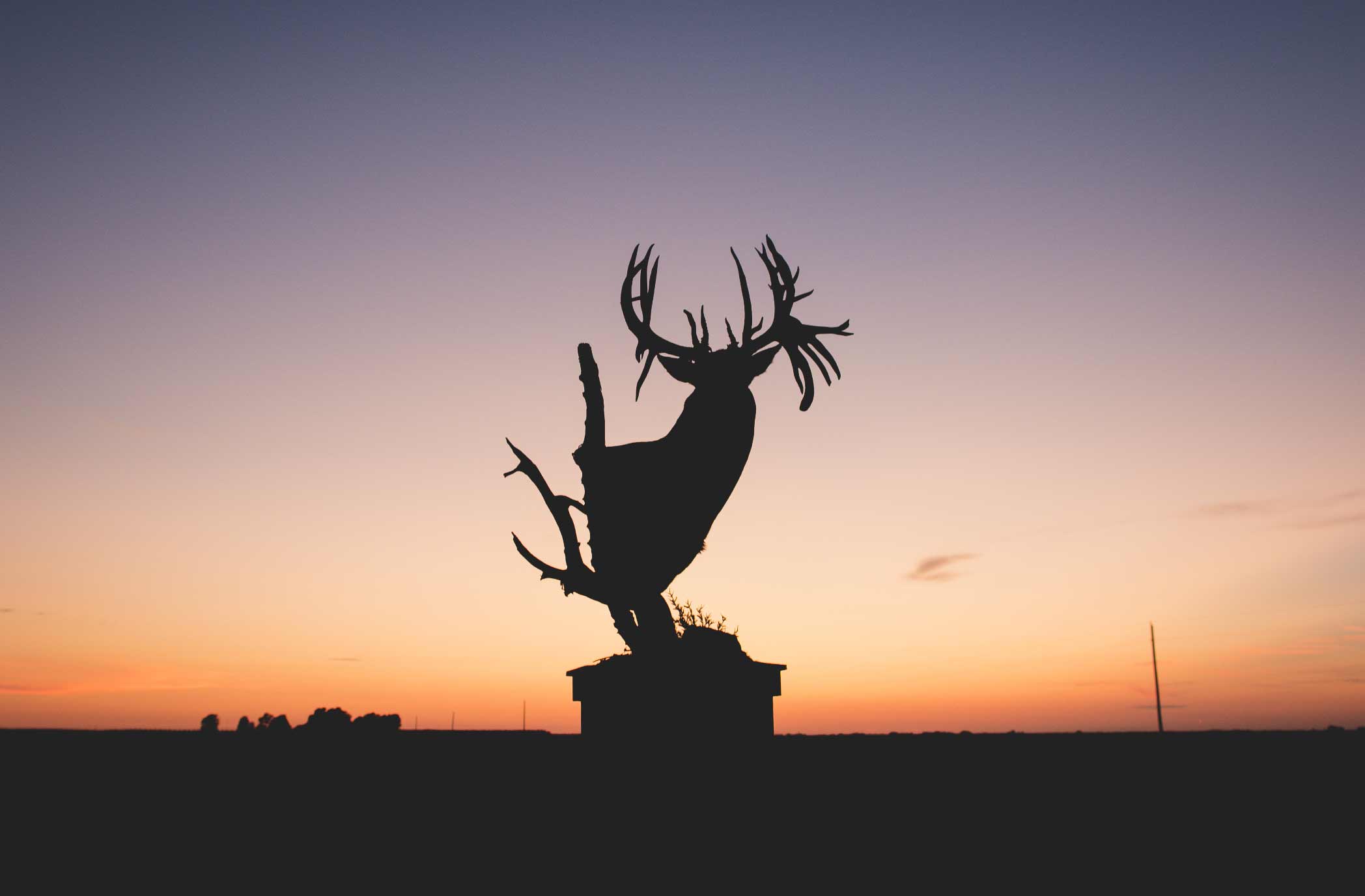 silhouette of a buck trophy against a sunset