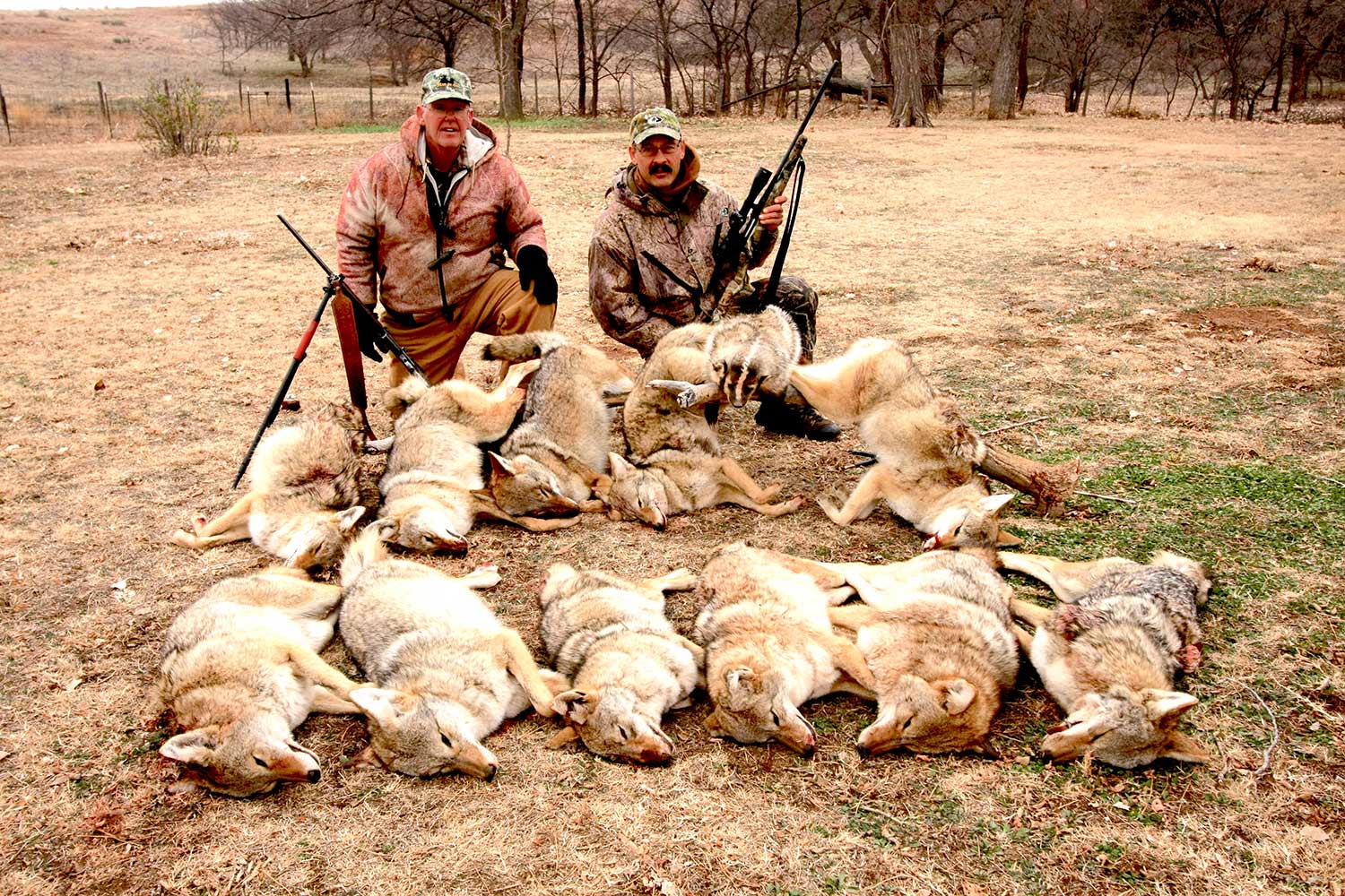 two hunters kneeling beside a pack of hunted coyotes