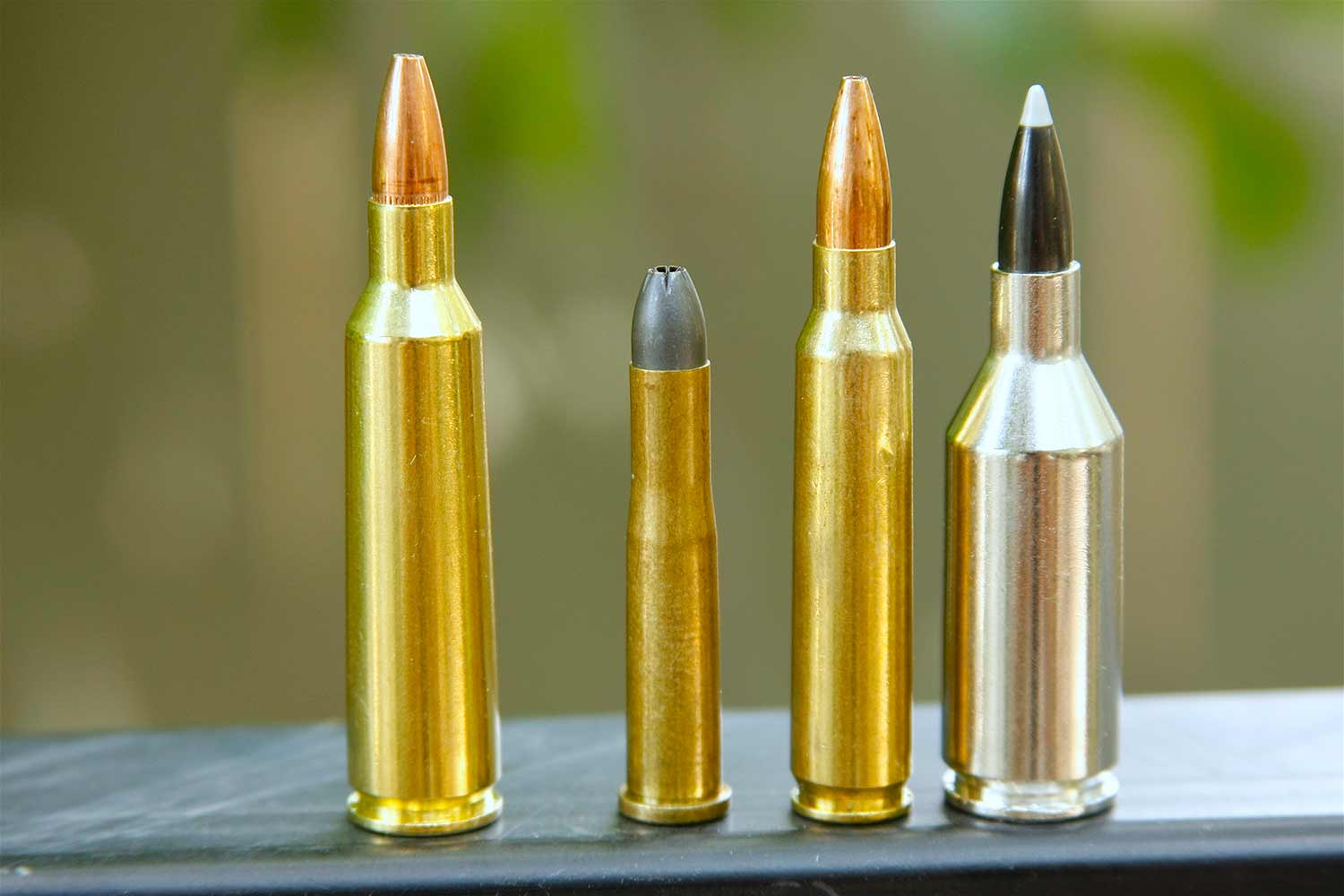 a lineup of centerfire 224 bullets