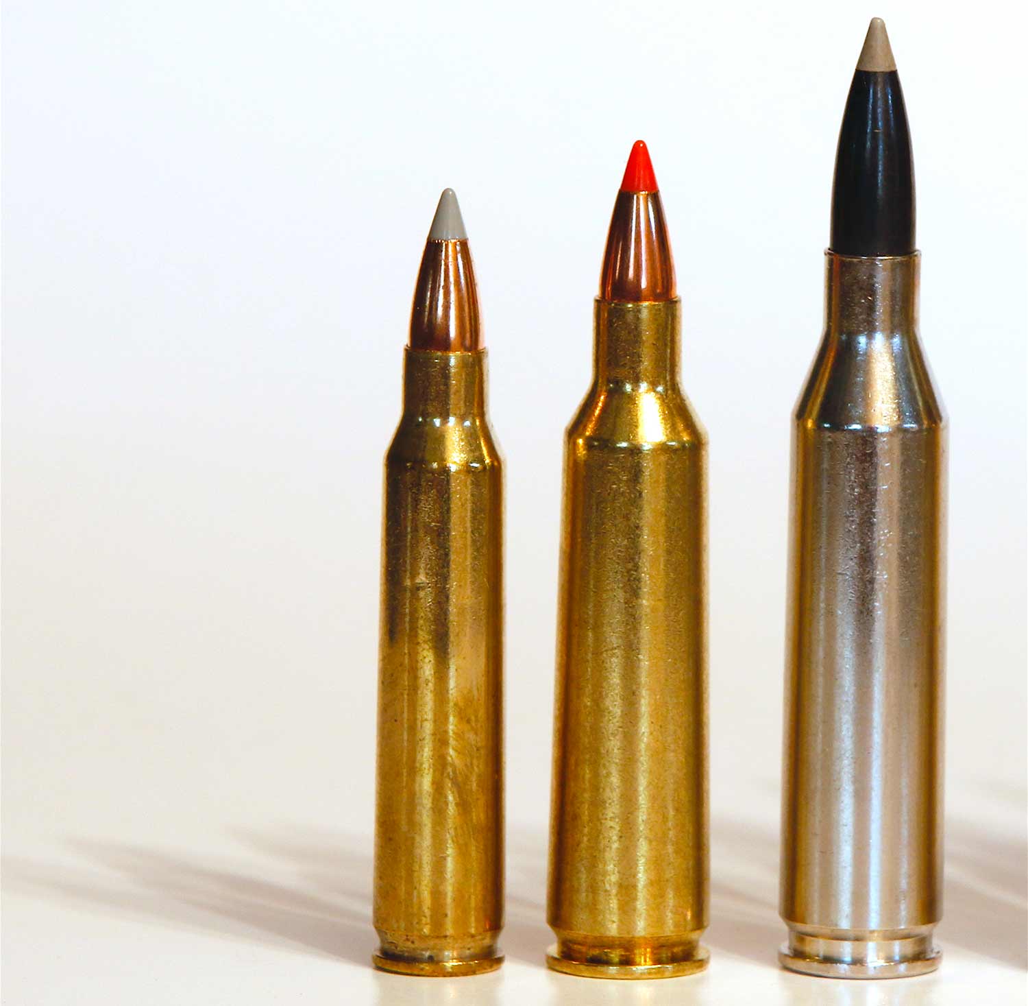 three rifle bullets for coyote