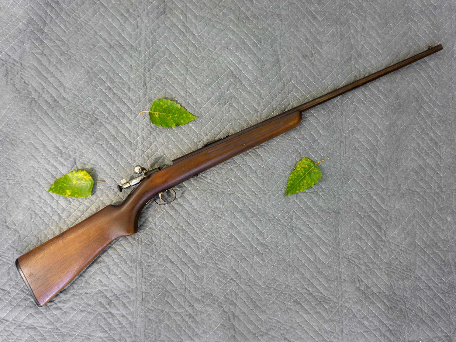 Remington Model 67 rifle