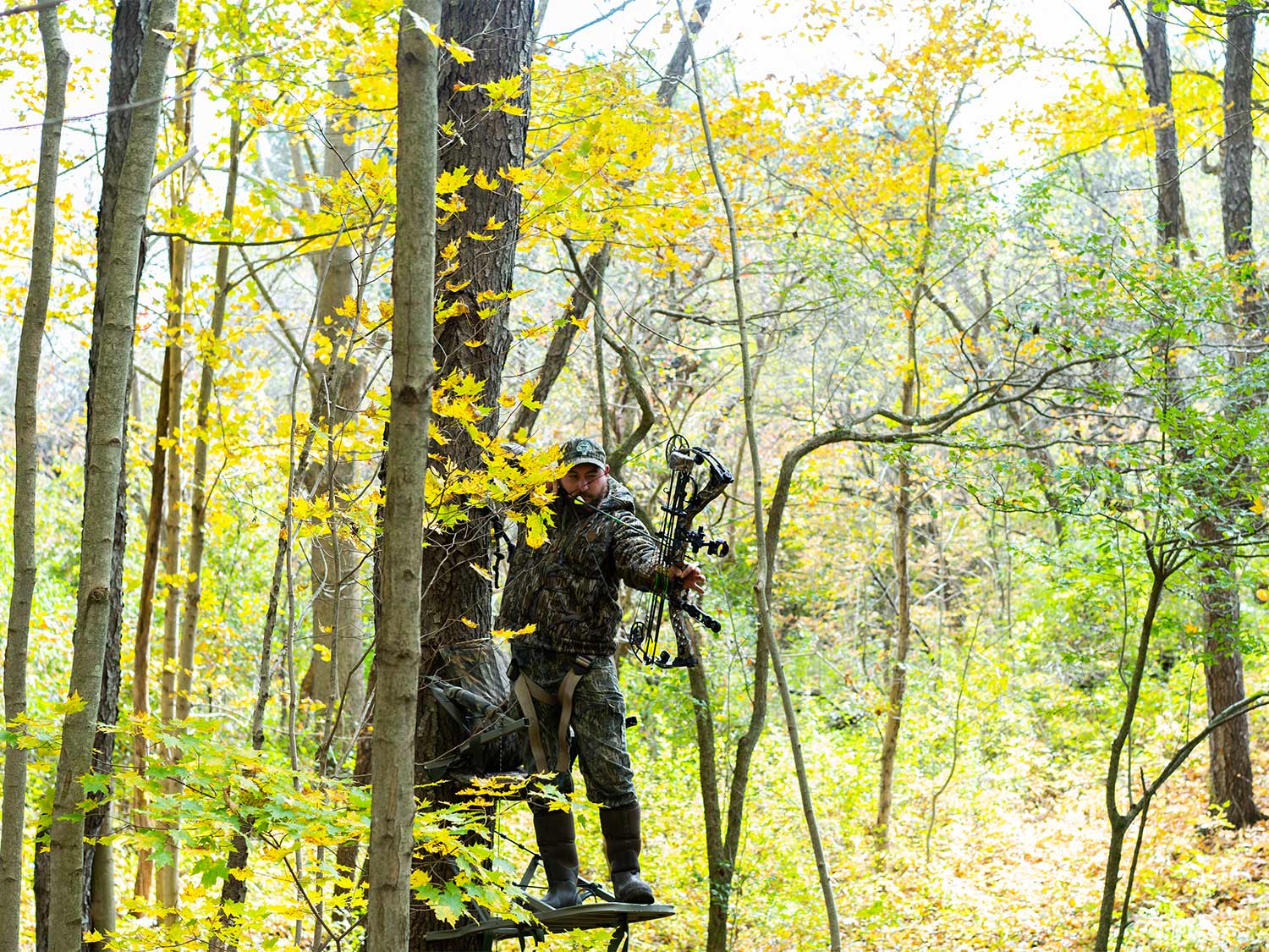a hunter shooting from a climbing stand
