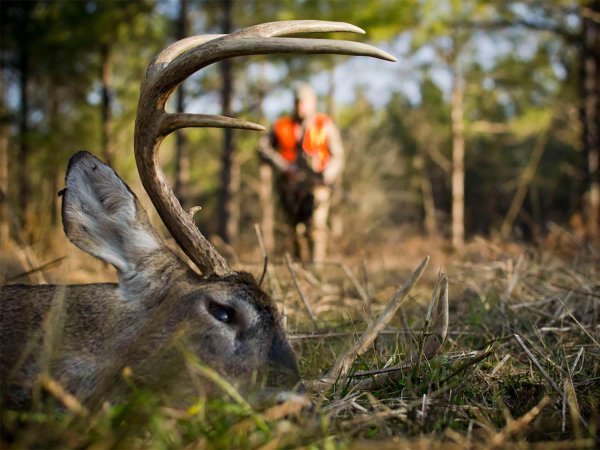 Pennsylvania Will Finally Allow Limited Sunday Deer Hunting. But Why Not Open All Sunday Hunting?