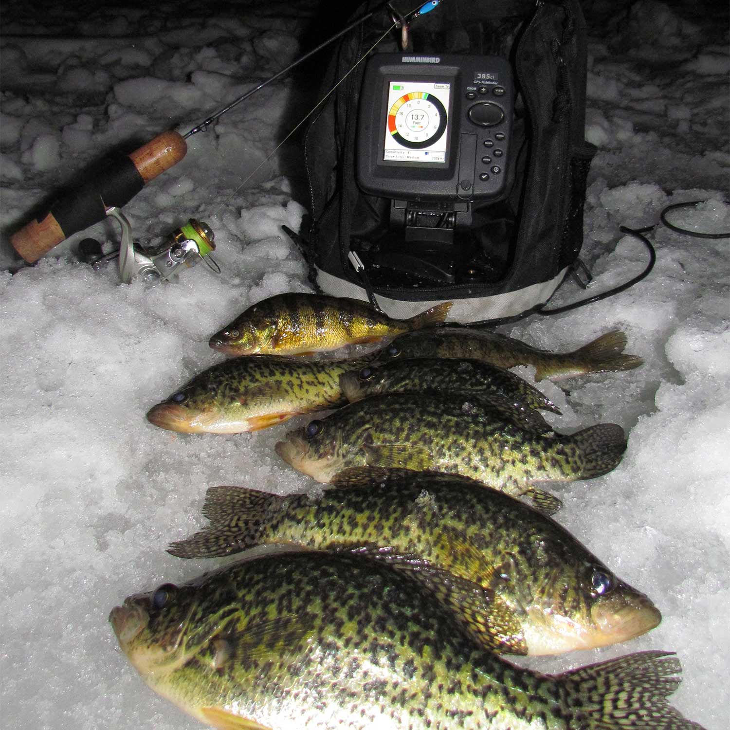 a group of panfish located by flashers.