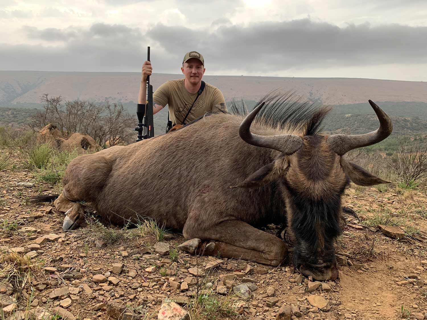 A hunter kneeling behind a mature blue wildebeest on an African hunting trip.