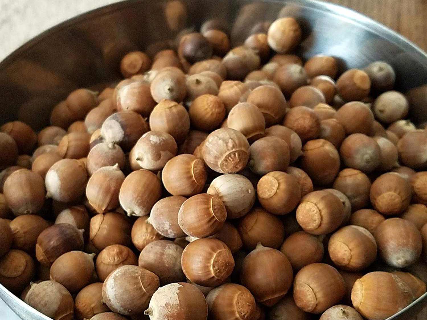 a bowl of acorns