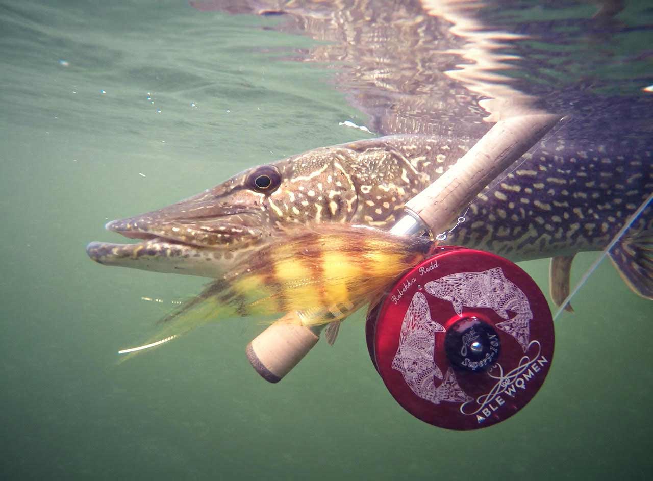 Big flies like this help to trigger a strike from big pike and muskie in dropping temperatures.