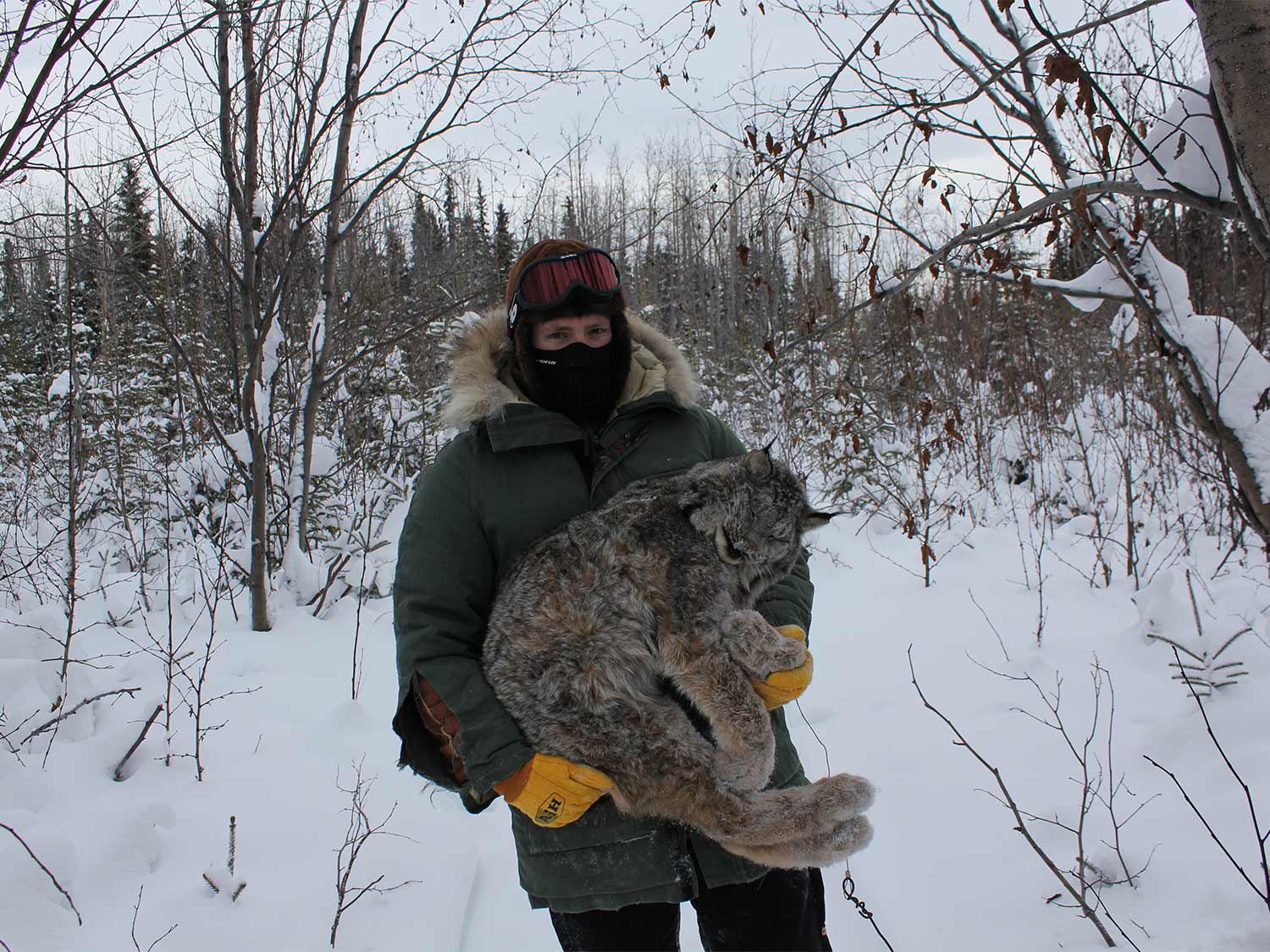 Hunter holding up a lynx in the snow.