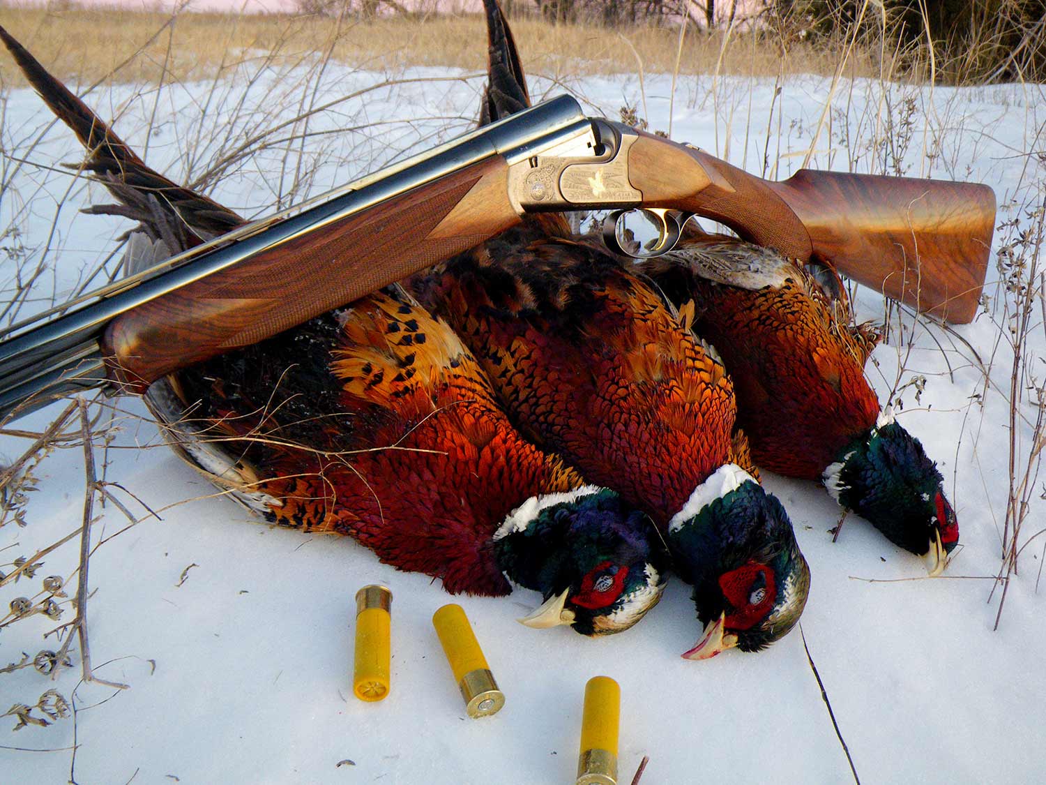 Shotgun Showdown 12 Gauge vs. 20 Gauge vs. 28 Gauge