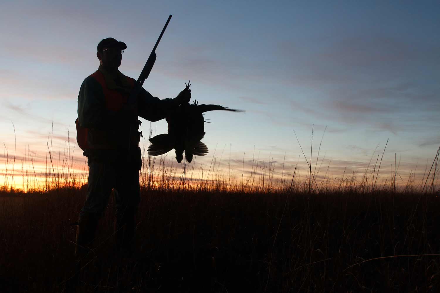 a silhouette of a hunter holding up pheasants.
