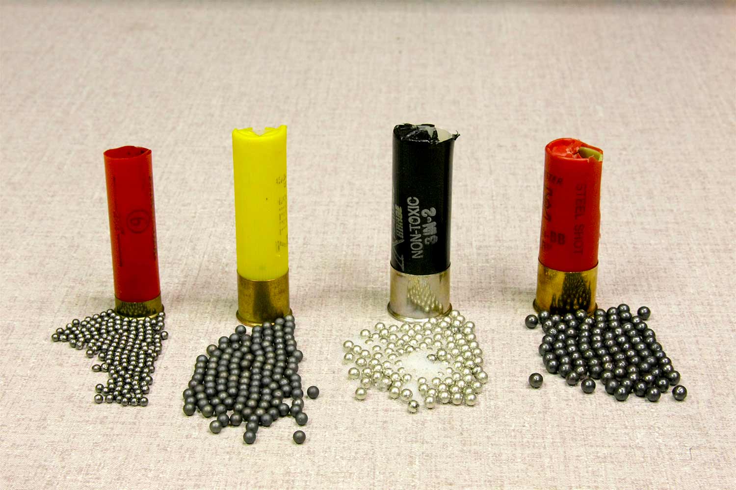 A lineup of shotgun shells and ammo pellets.