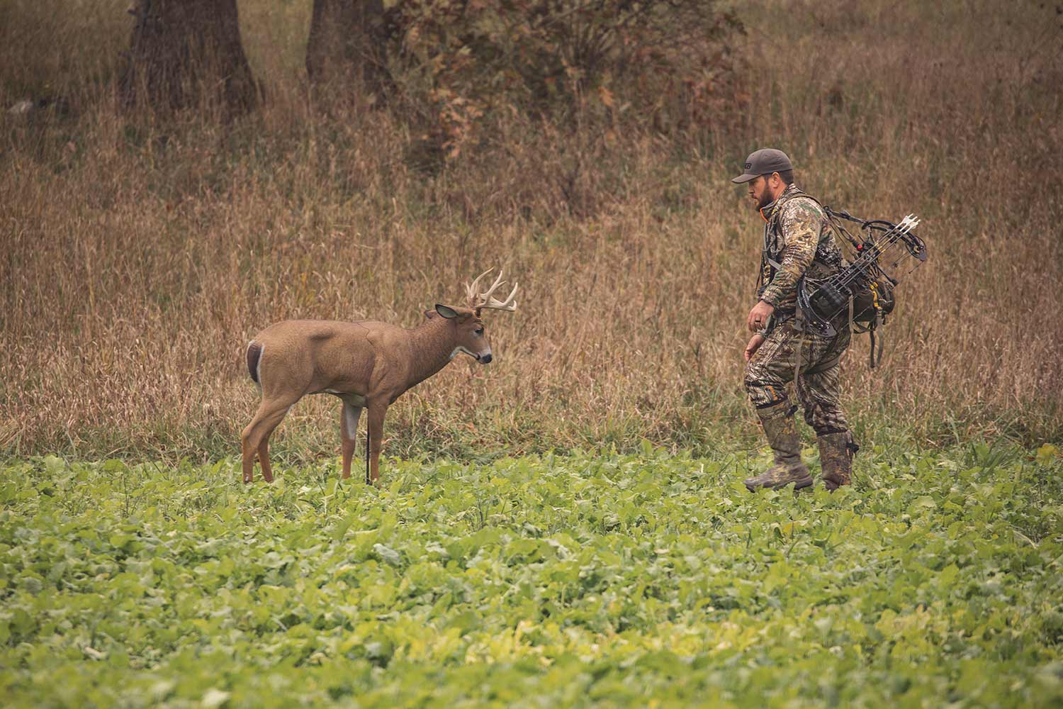 A hunter walking up to a decoy.