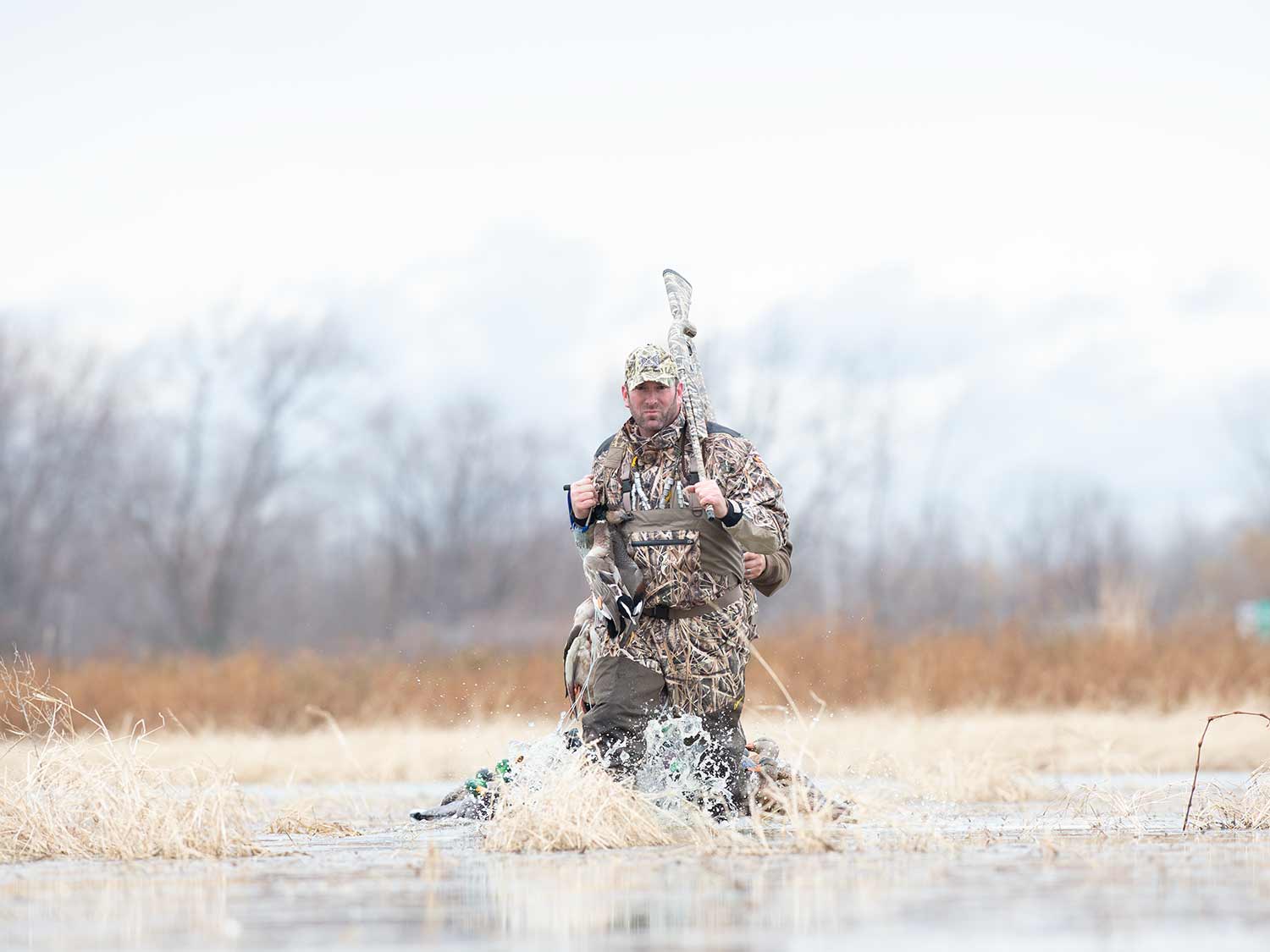 Fred Zink wading through a shallow marsh while duck hunting.