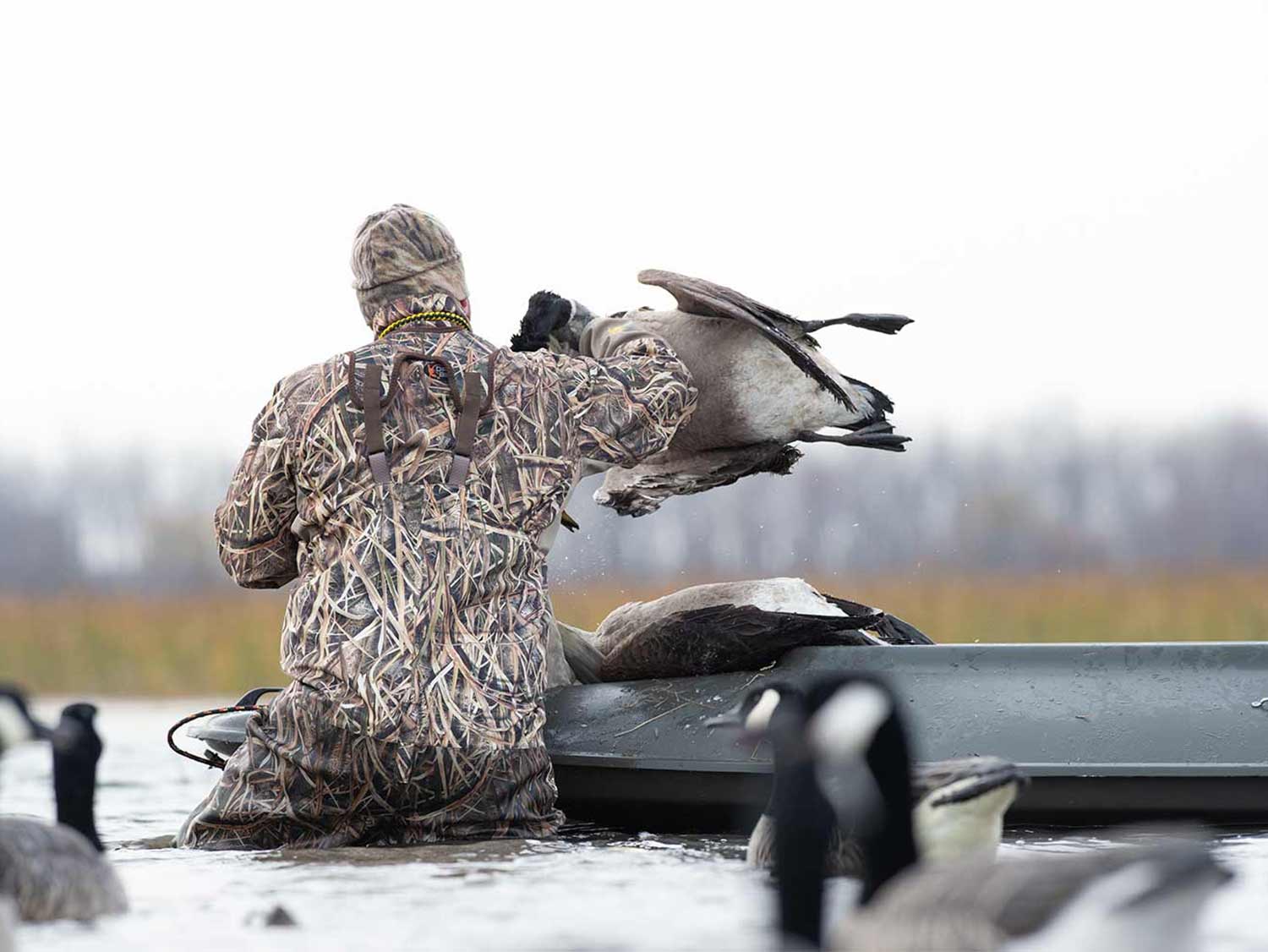 A hunter setting up a decoy spread in a marsh.
