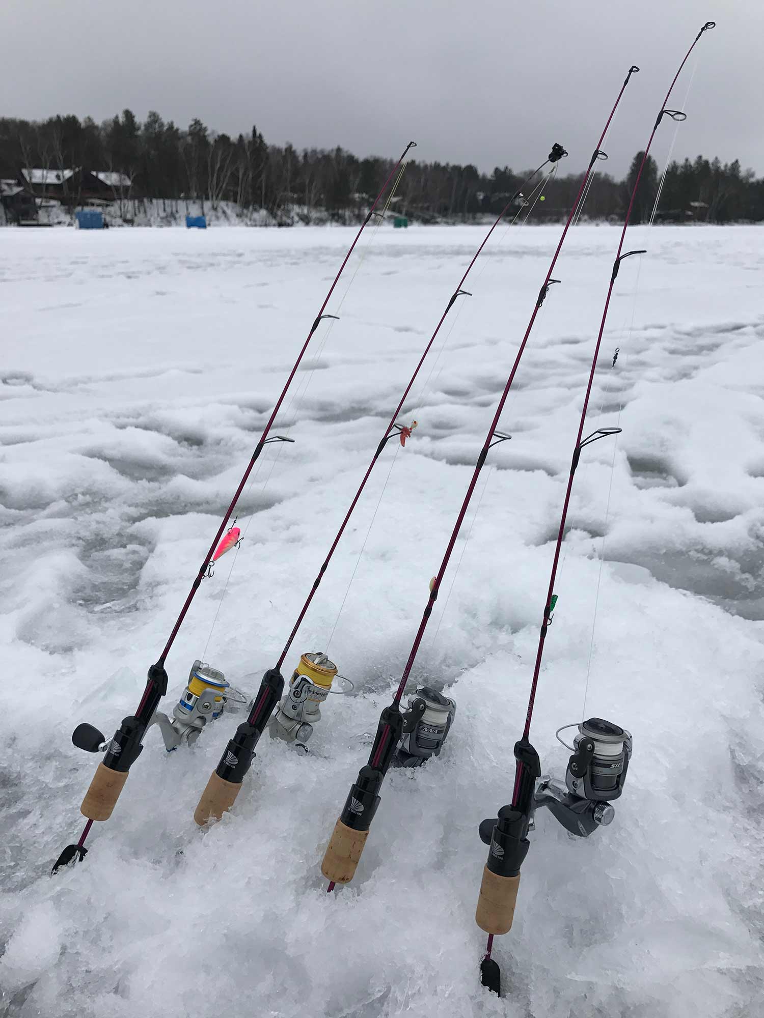 four fishing rods in the snow.