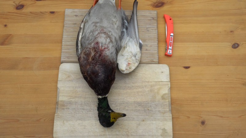 How to Butcher a Duck