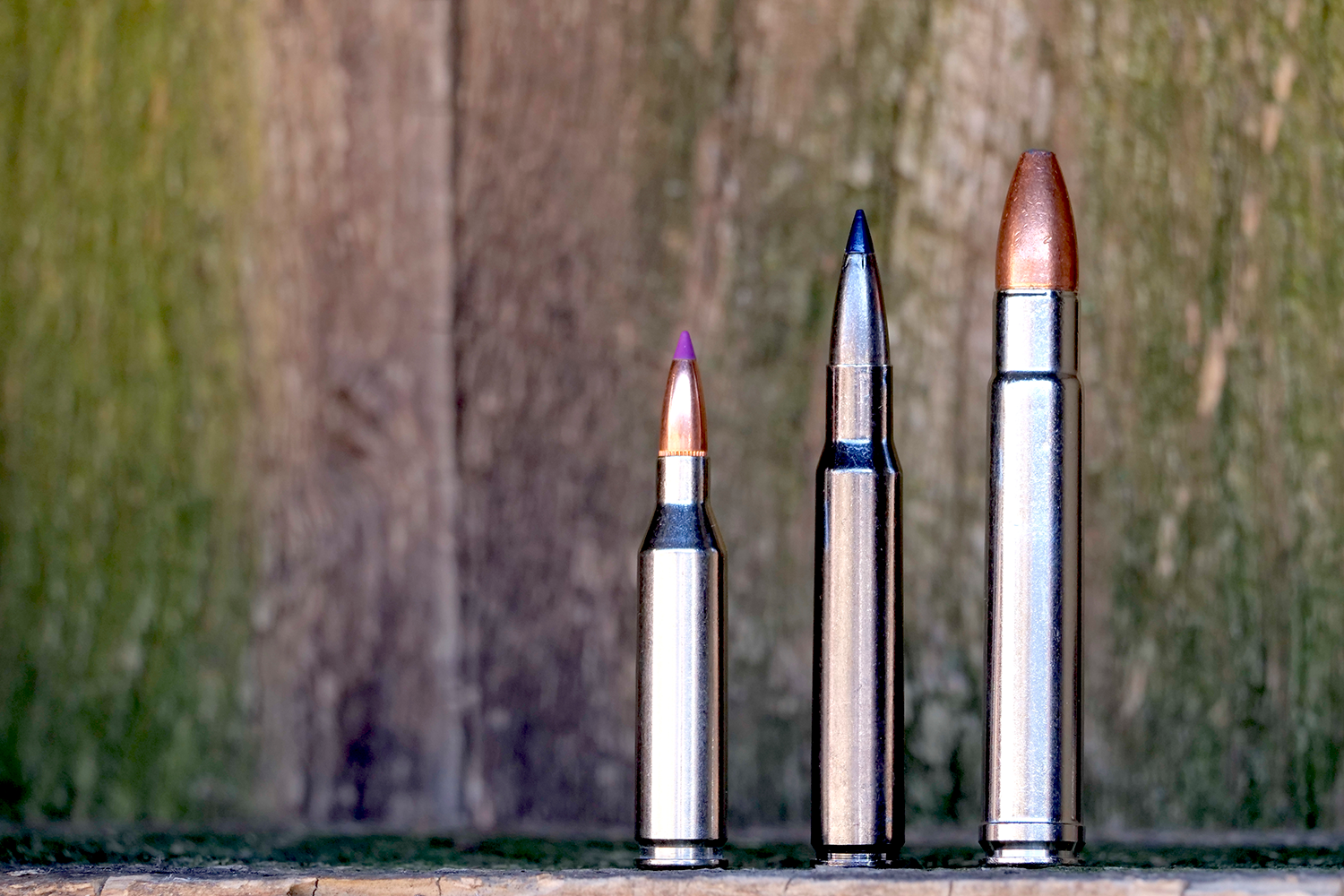 three types of ammo used in African hunting.