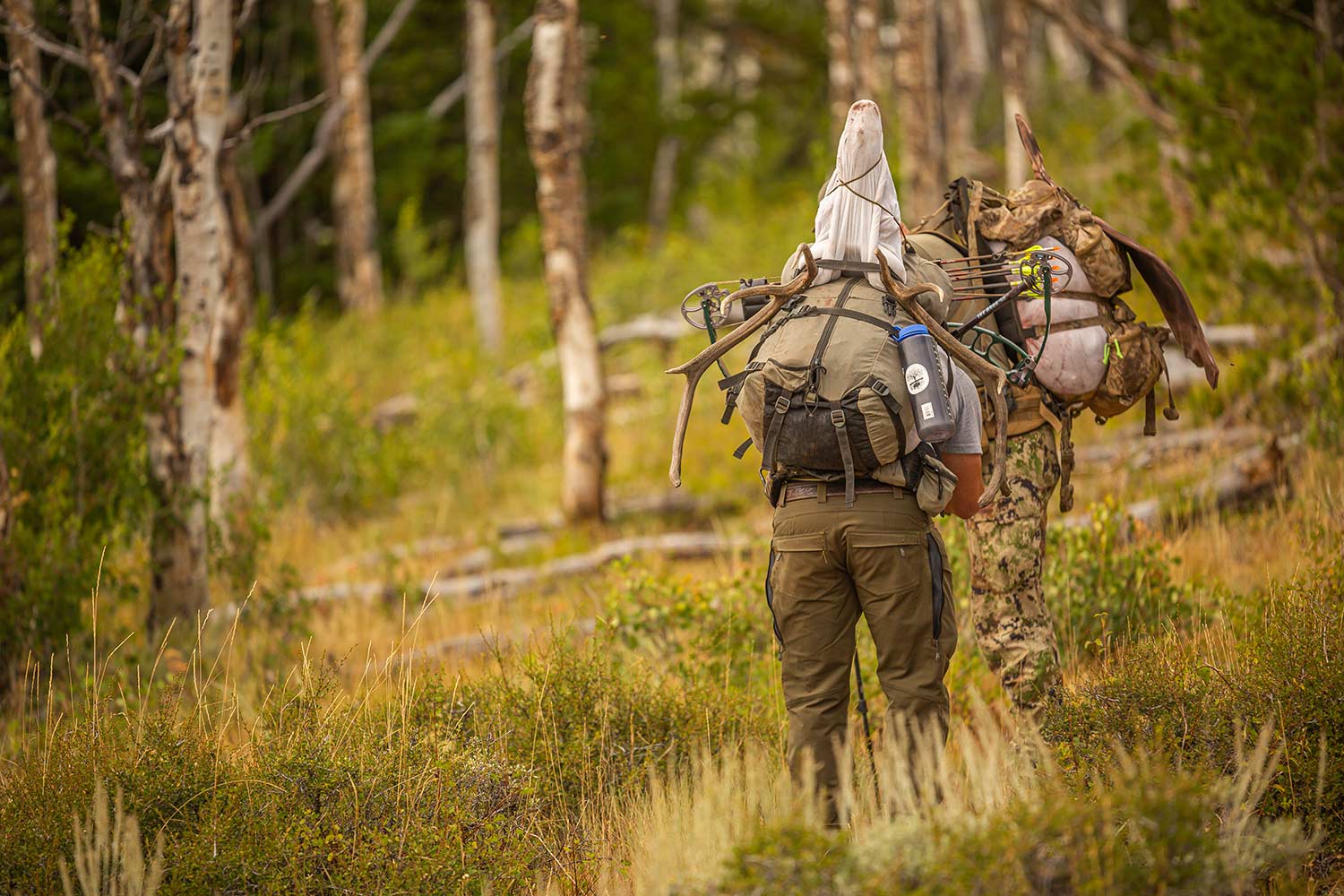 Hunting guides in a forest.