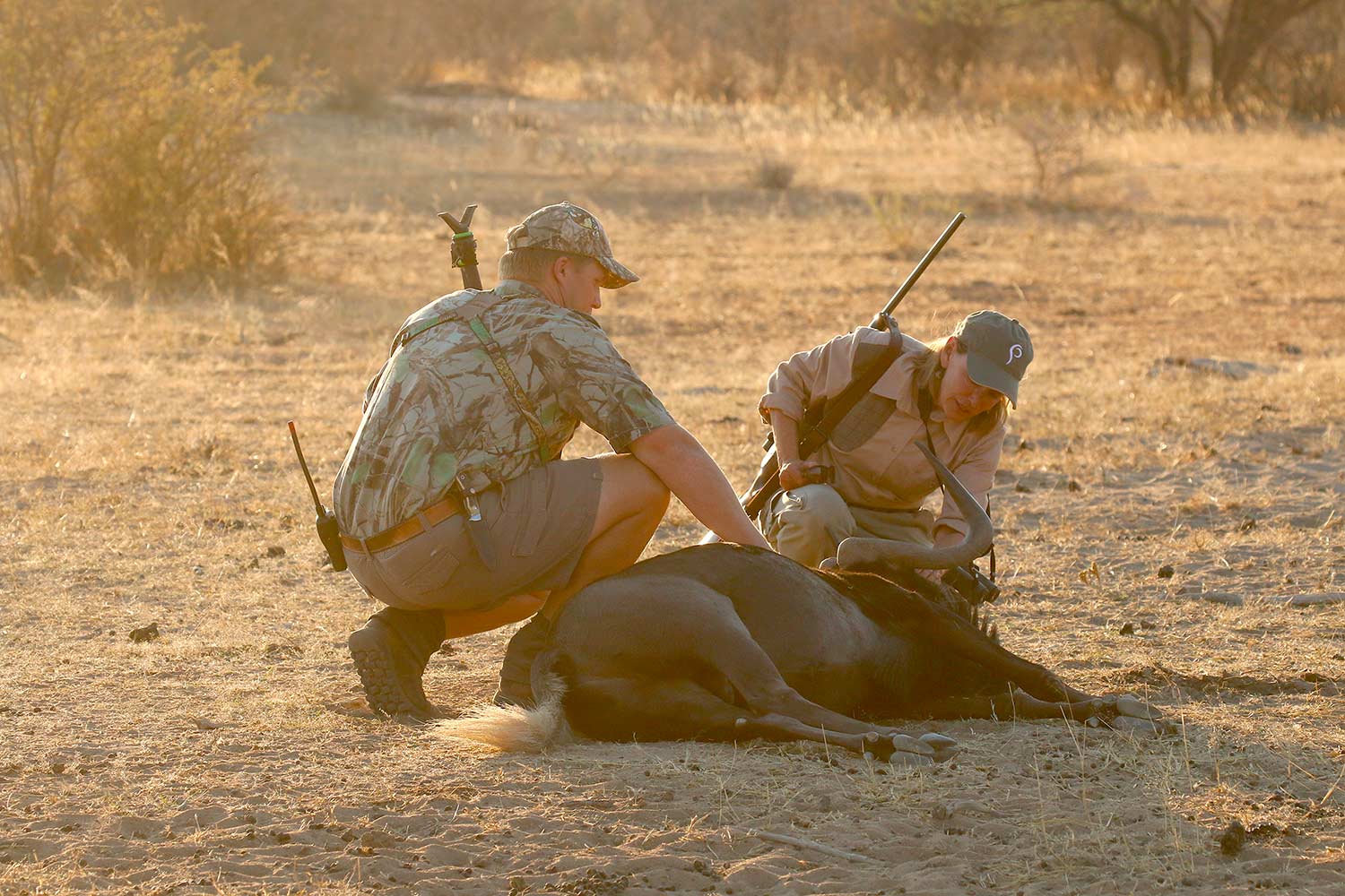 Two hunters hunting wildebeest during an Africa safari hunt.