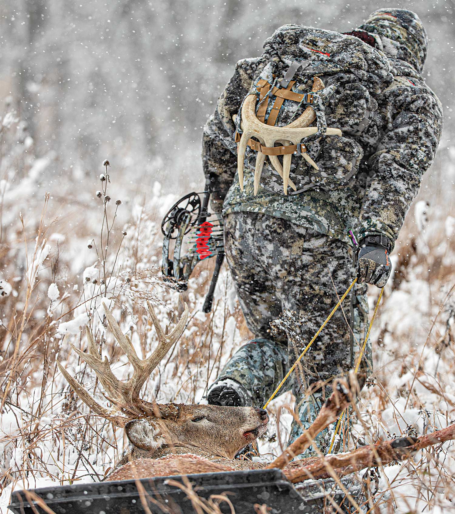 A bowhunter sleds out a heavy central Kansas whitetail, taken during a snowstorm.