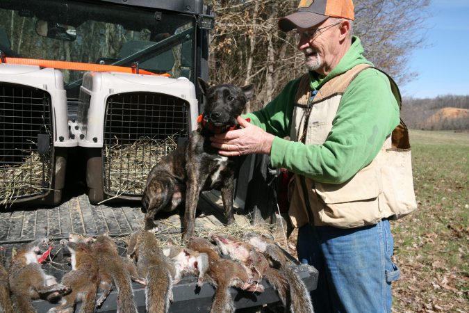 Hunting With Dogs is the Best Way to Bag Late-Winter Squirrels