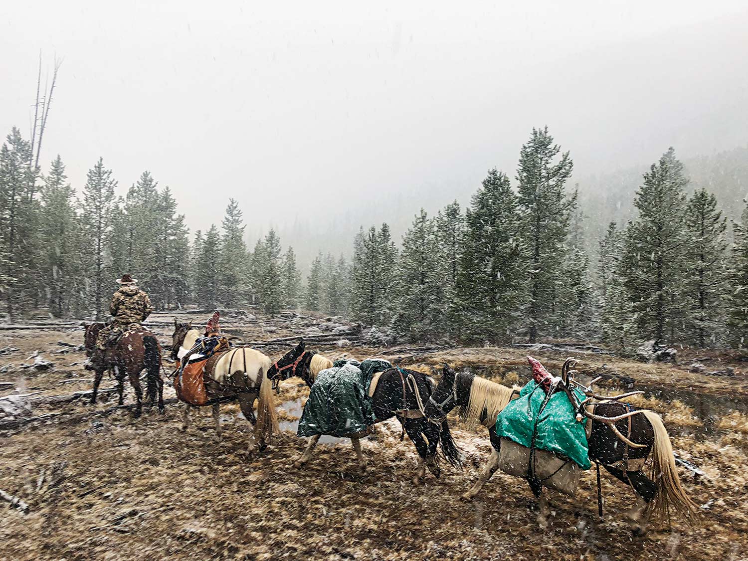 A caravan of hunters in the snow while hunting bull elk.