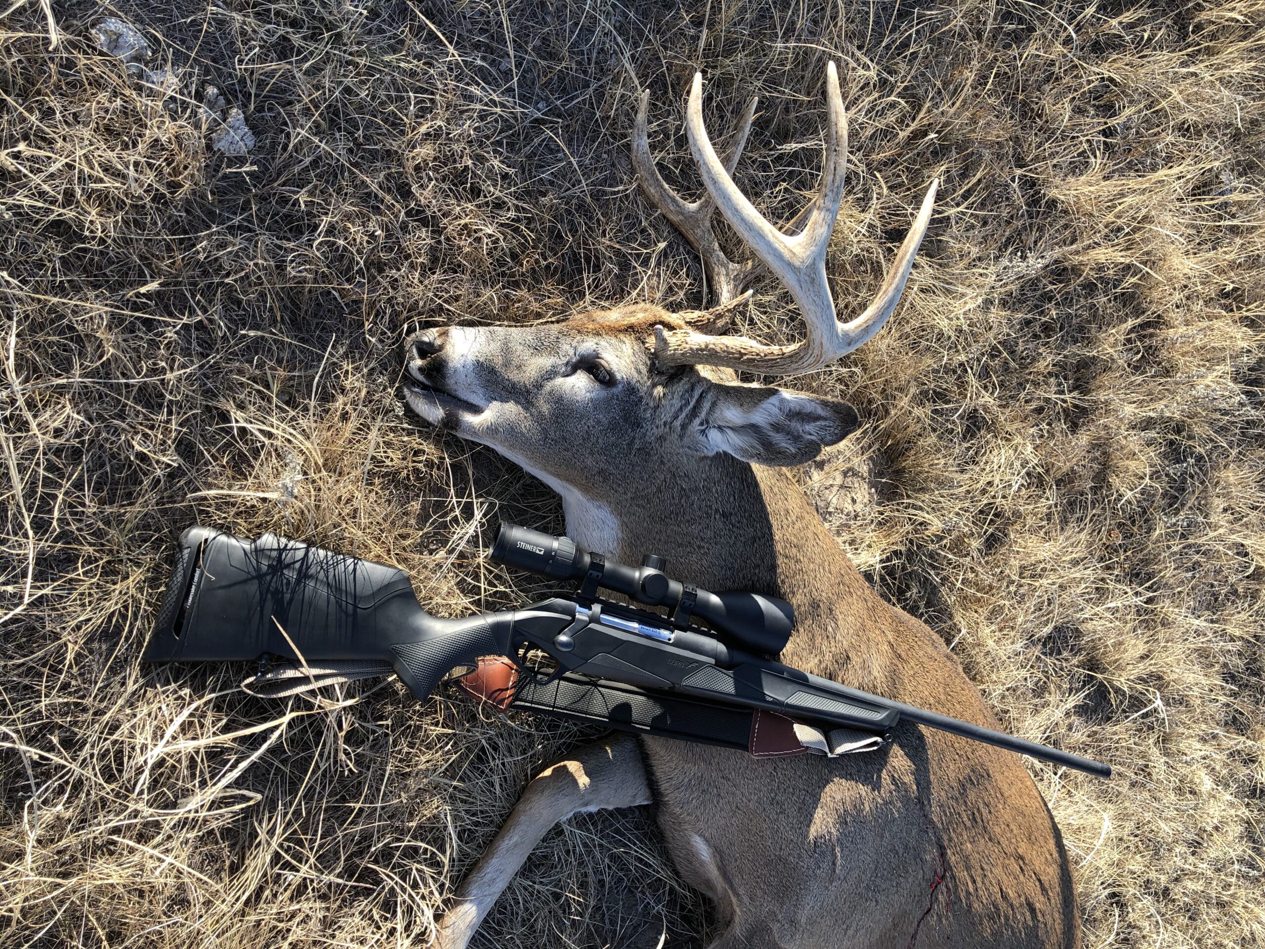 deer with rifle