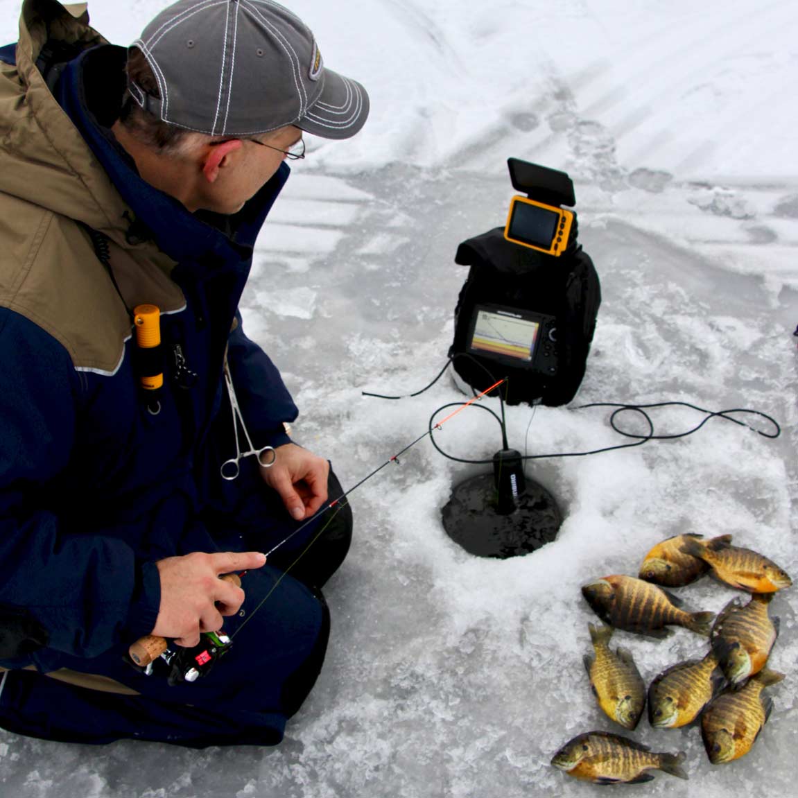 Angler ice fishing for bluegill.