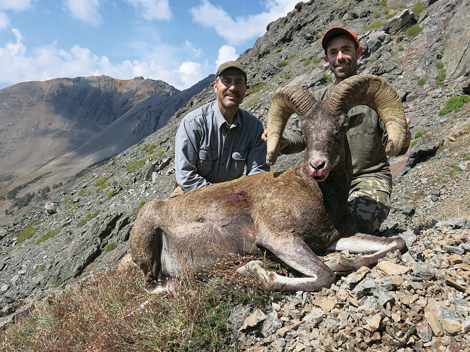 Two hunters kneeling behind Wyoming ram.