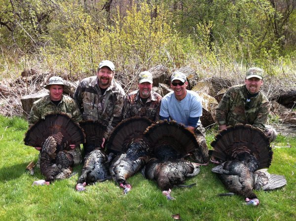 9 Rules For Hunting Roosted Gobblers