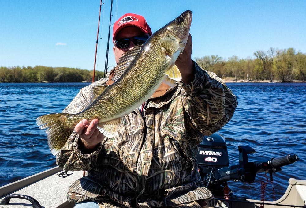 Angler holding up a walleye fish.