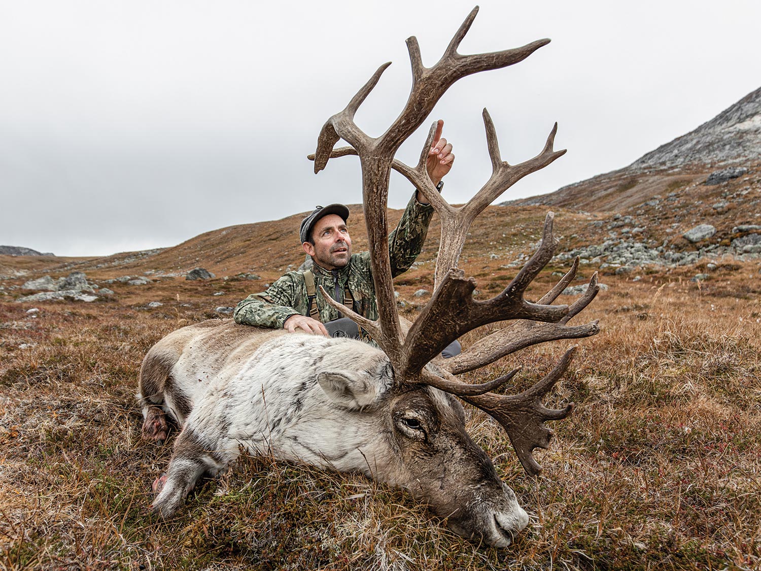 Andrew McKean kneeling next to a giant caribou.