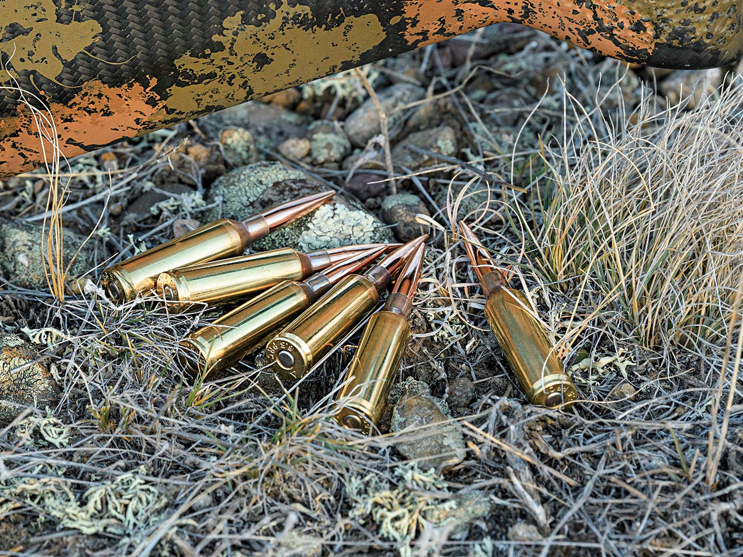 A pile of handloaded ammo on the ground.