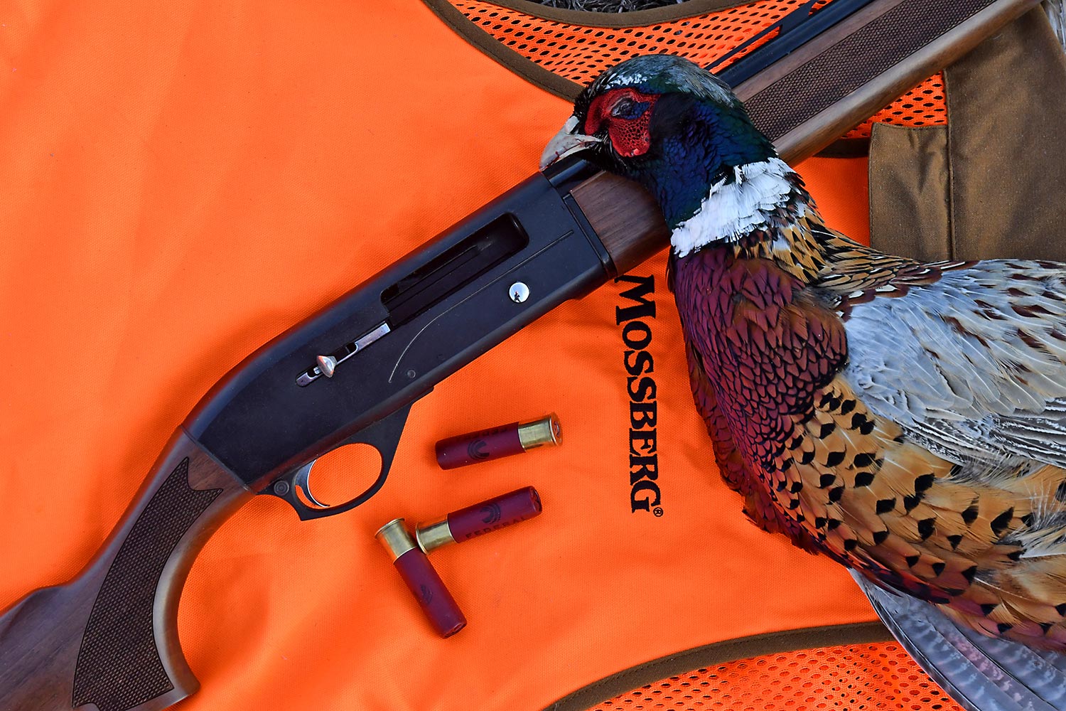 a Mossberg SA-28 shotgun and a pheasant.