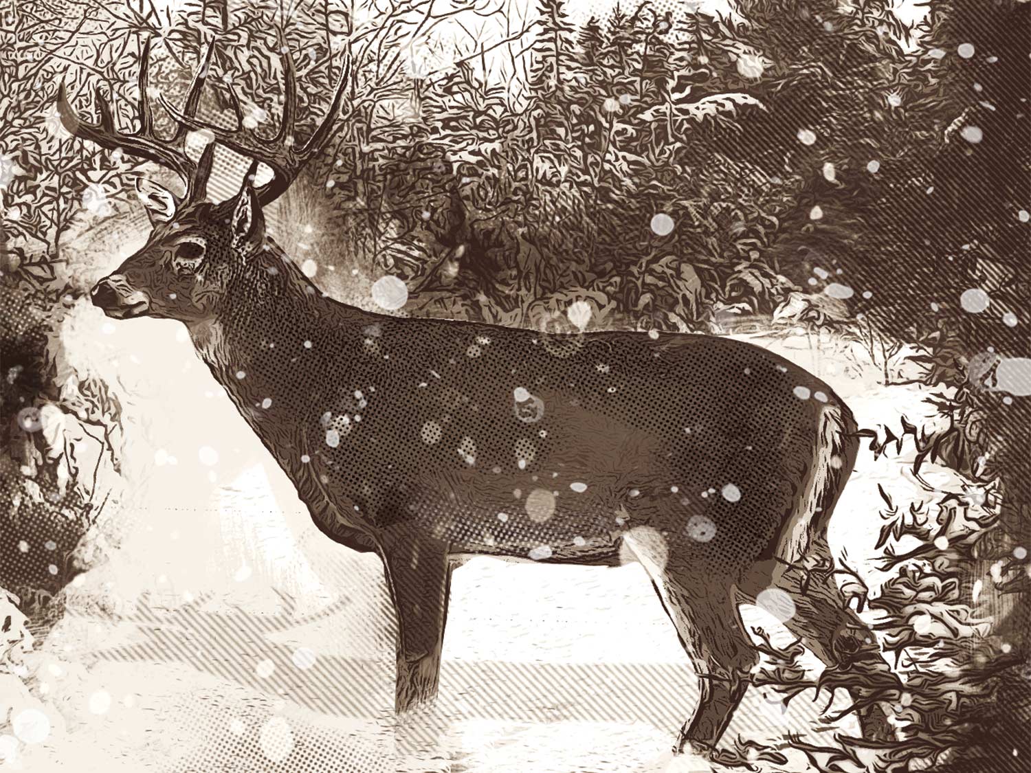 Illustration of a deer in the snow.