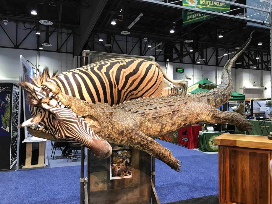 13 Amazing Animal Mounts