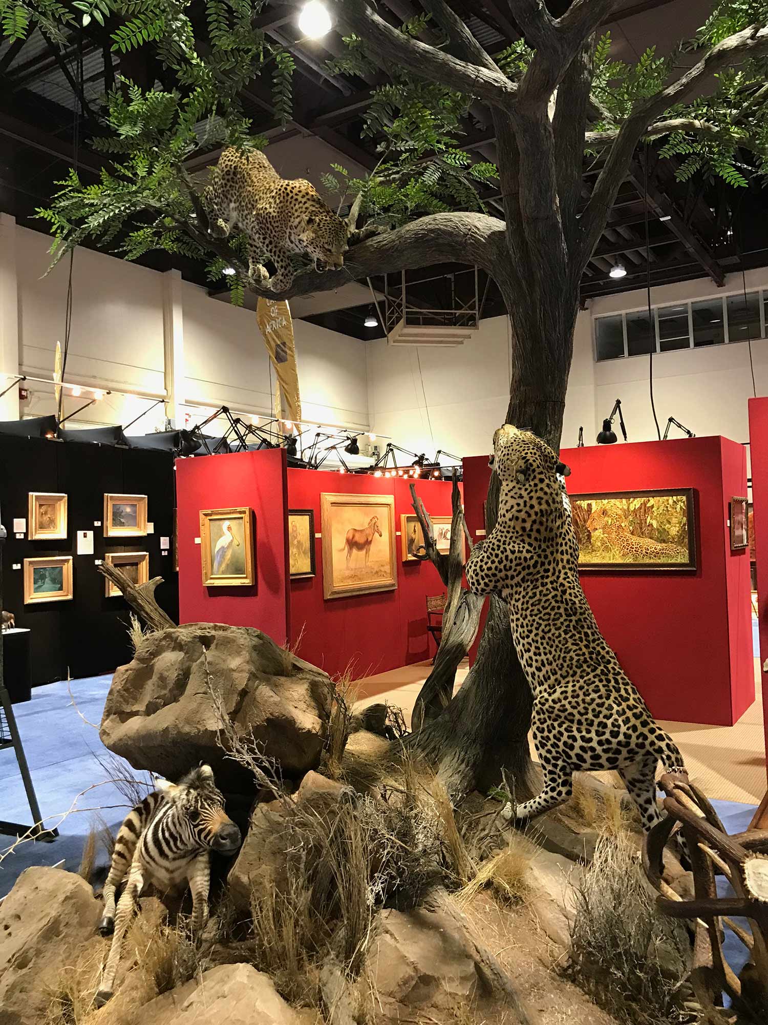 Brush Country Studios & Prairie Mountain Wildlife Studios cheetah mounts