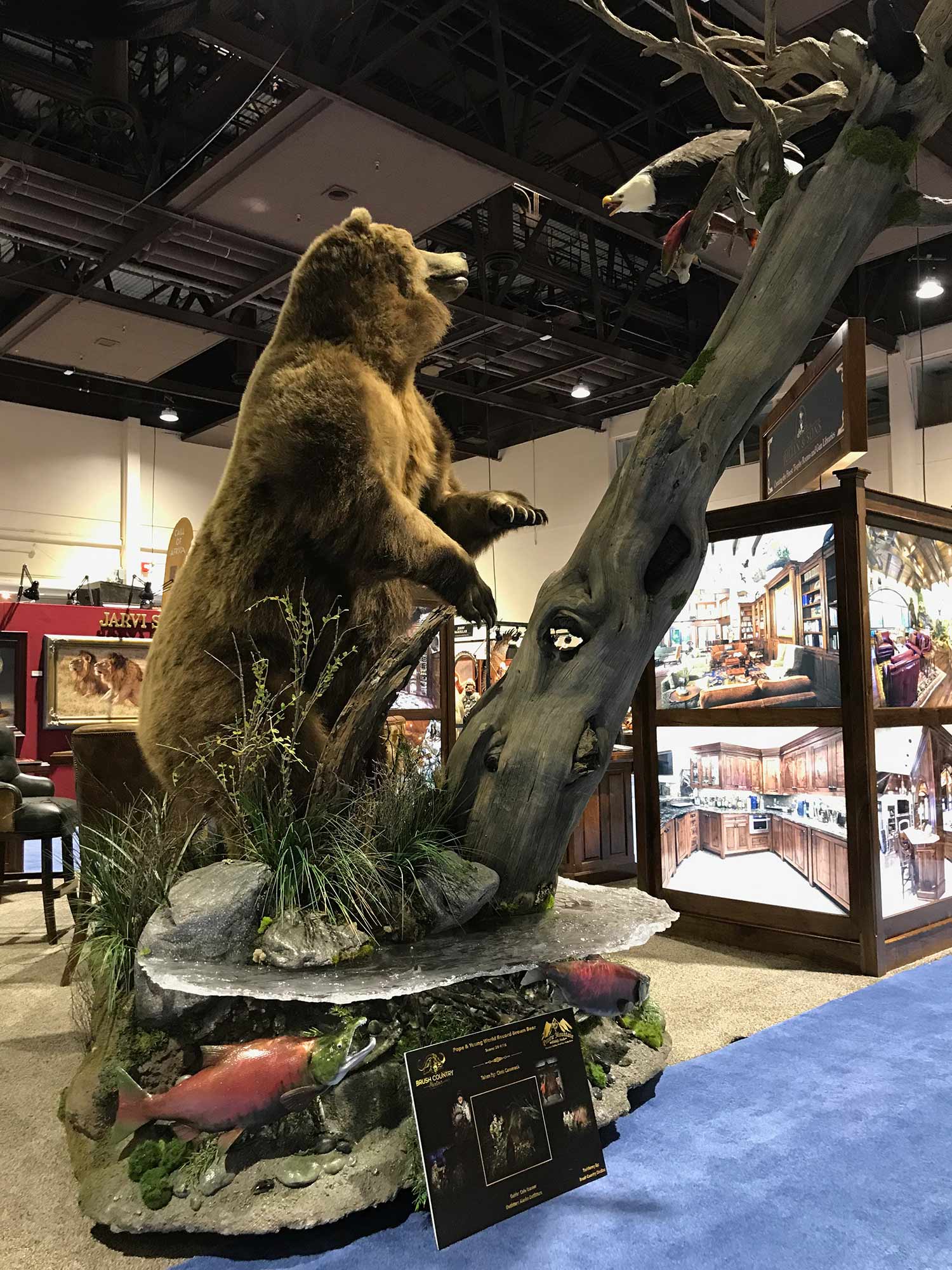 Brush Country Studios & Prairie Mountain Wildlife Studios bear mount