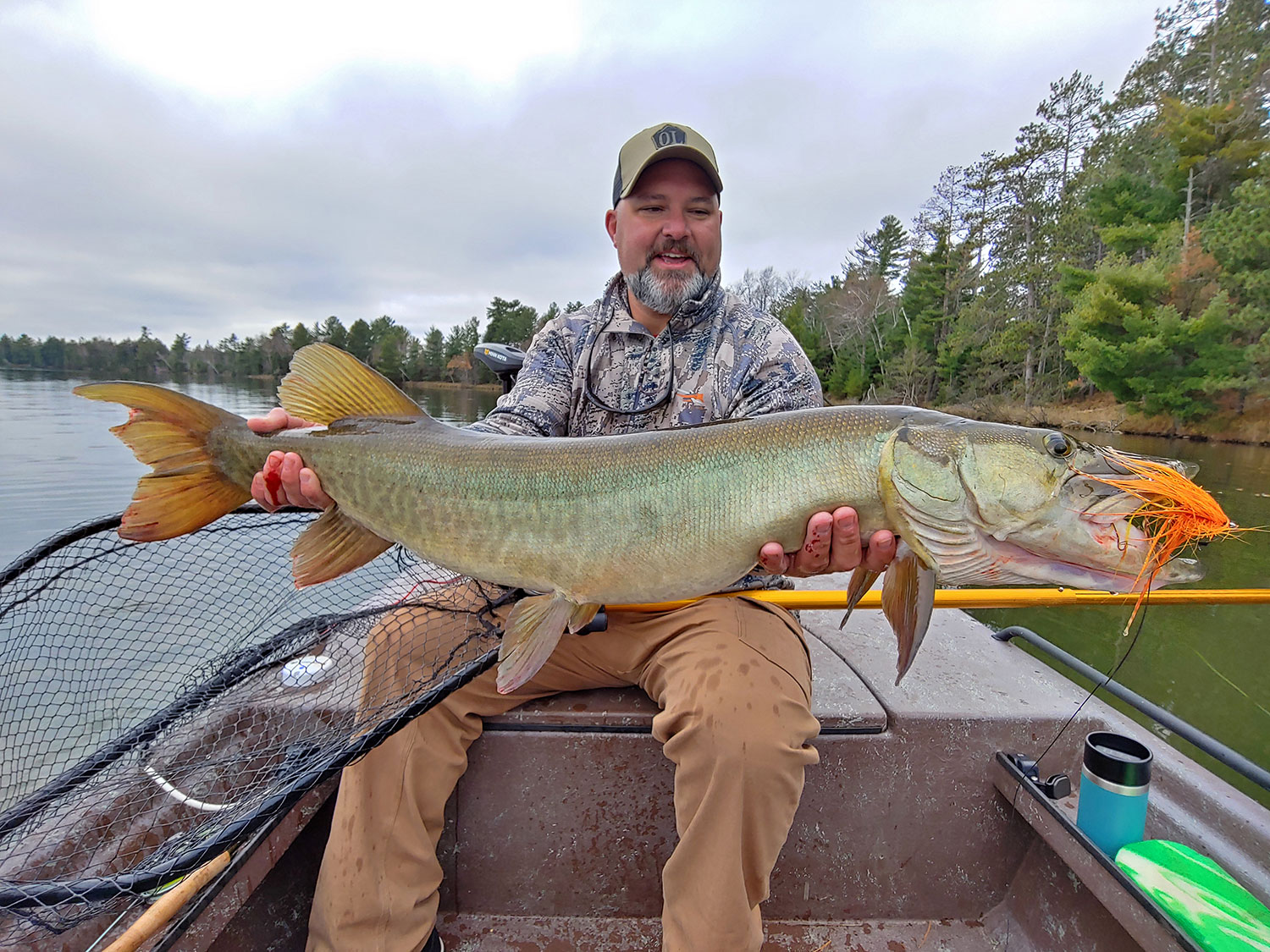 Angler holding up a large muskie