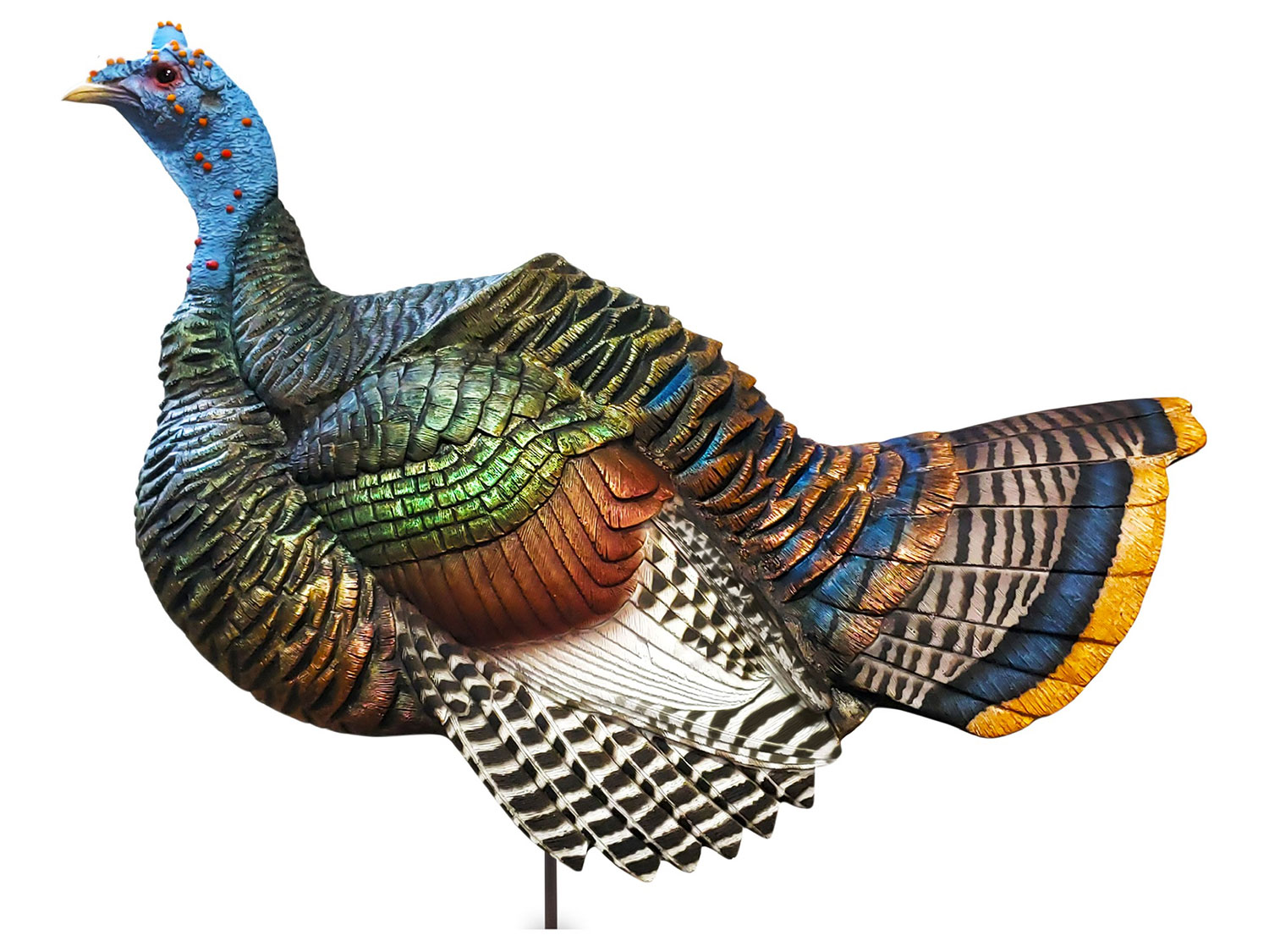 DSD Ocellated Decoy