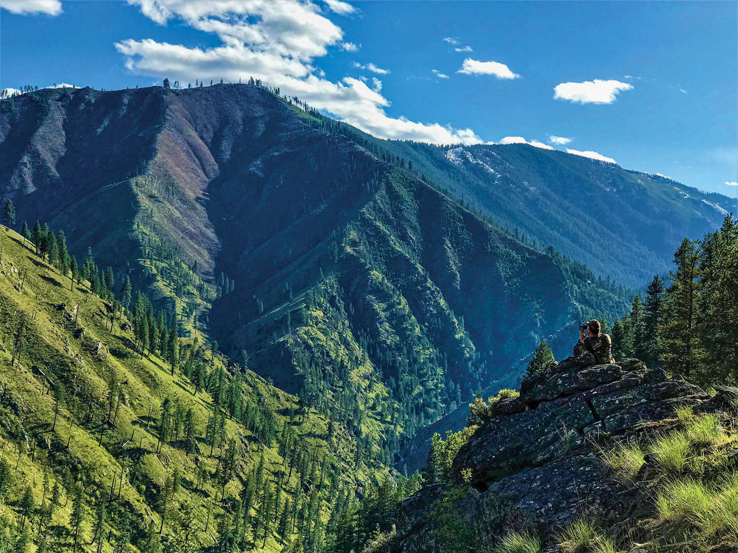 The Best Black Bear Hunting Unit in the World