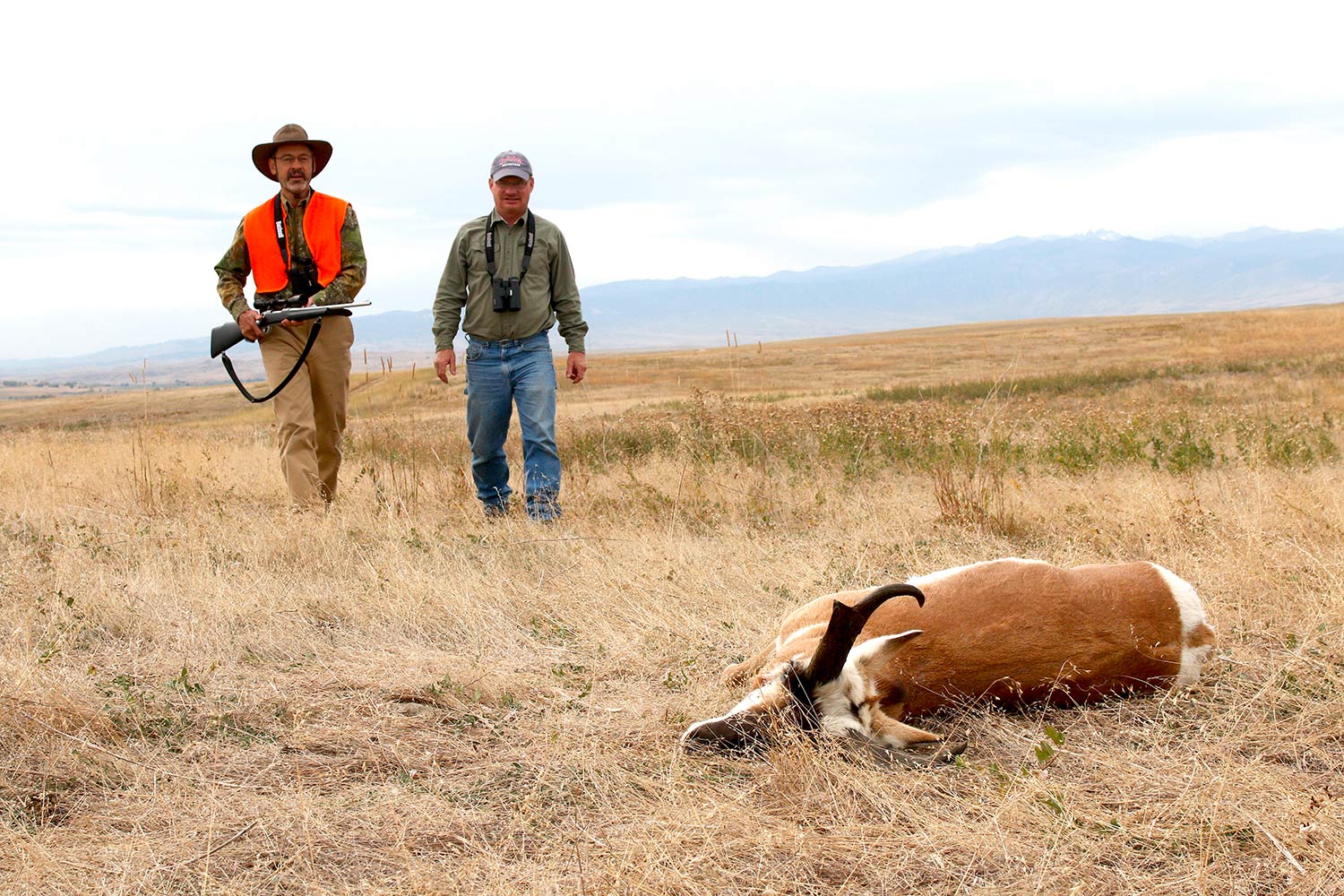 Two hunters walking through a field towards an antelope.