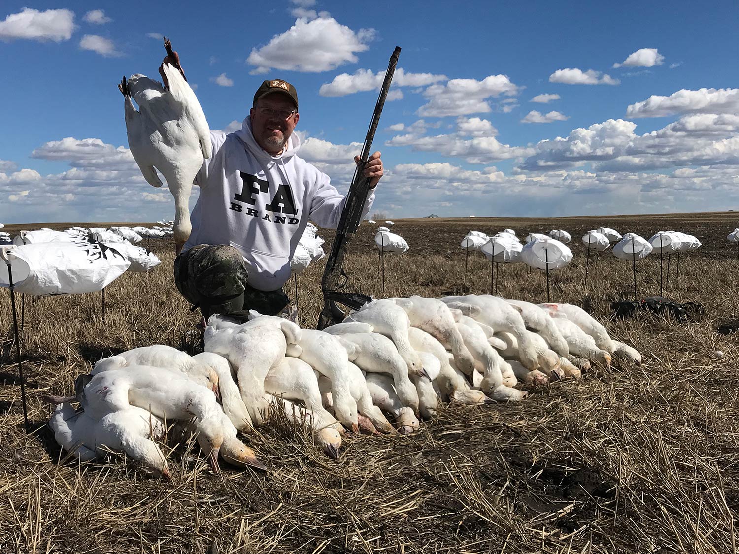 A pile of white snow geese.