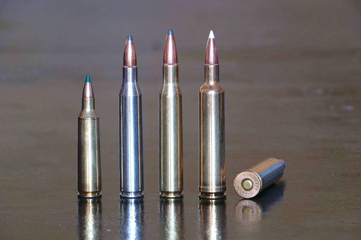 Lineup of long range shooting bullets.